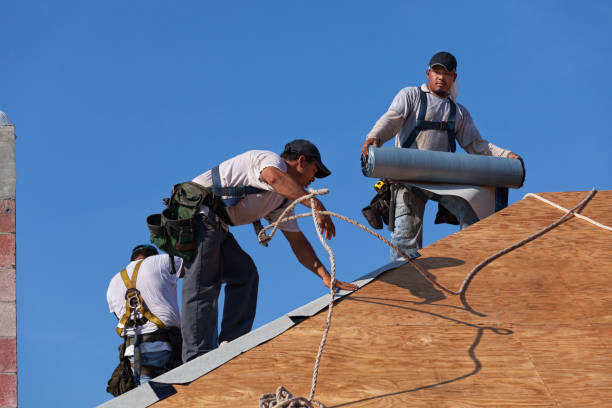 Best Roof Replacement Cost  in Franklin, VA