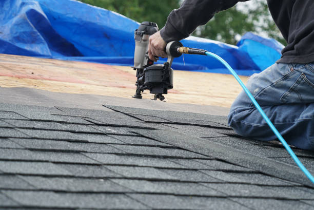 Best Metal Roofing Contractor  in Franklin, VA
