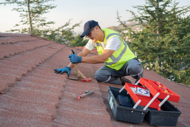 Best Flat Roof Repair Services  in Franklin, VA